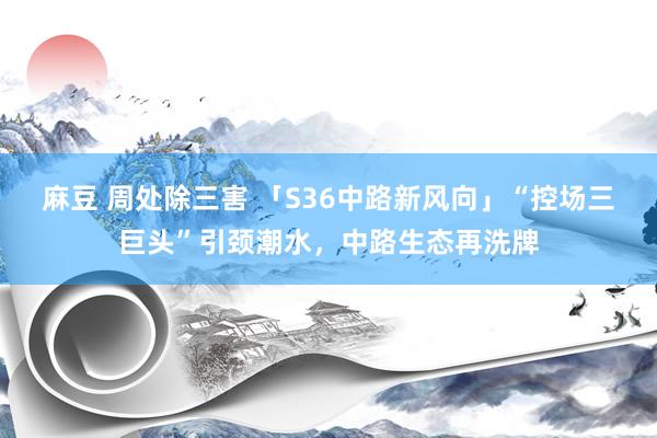 麻豆 周处除三害 「S36中路新风向」“控场三巨头”引颈潮水，中路生态再洗牌