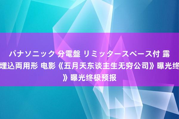 パナソニック 分電盤 リミッタースペース付 露出・半埋込両用形 电影《五月天东谈主生无穷公司》曝光终极预报