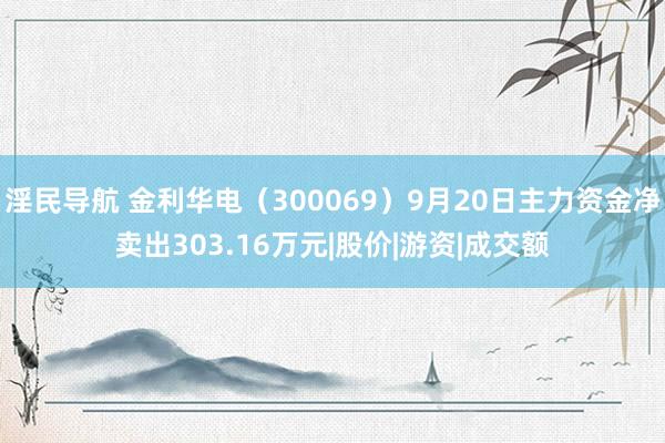 淫民导航 金利华电（300069）9月20日主力资金净卖出303.16万元|股价|游资|成交额