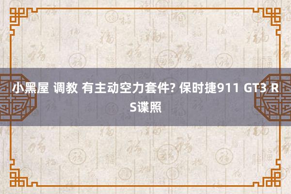 小黑屋 调教 有主动空力套件? 保时捷911 GT3 RS谍照