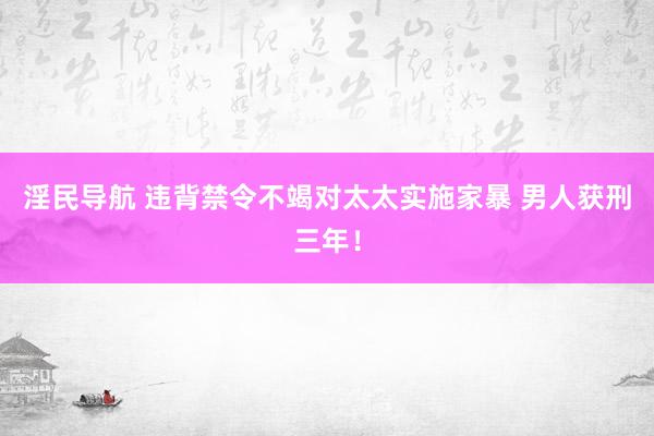 淫民导航 违背禁令不竭对太太实施家暴 男人获刑三年！