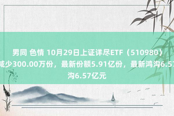 男同 色情 10月29日上证详尽ETF（510980）份额减少300.00万份，最新份额5.91亿份，最新鸿沟6.57亿元