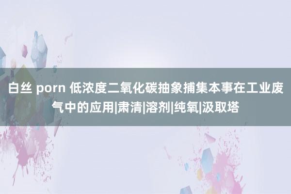 白丝 porn 低浓度二氧化碳抽象捕集本事在工业废气中的应用|肃清|溶剂|纯氧|汲取塔