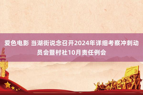 爱色电影 当湖街说念召开2024年详细考察冲刺动员会暨村社10月责任例会