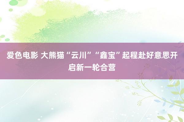 爱色电影 大熊猫“云川”“鑫宝”起程赴好意思开启新一轮合营