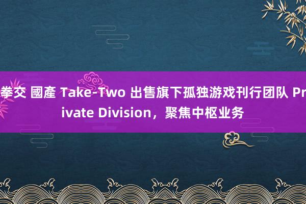 拳交 國產 Take-Two 出售旗下孤独游戏刊行团队 Private Division，聚焦中枢业务