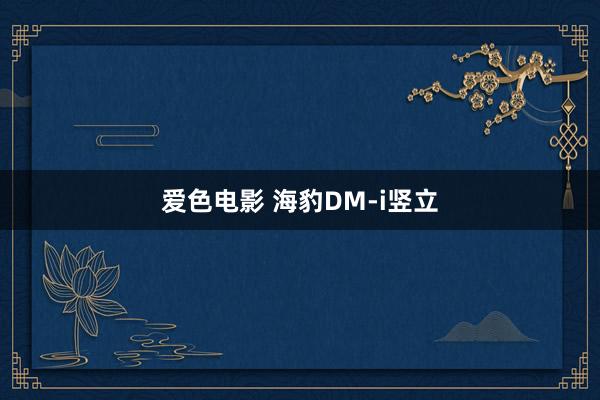 爱色电影 海豹DM-i竖立