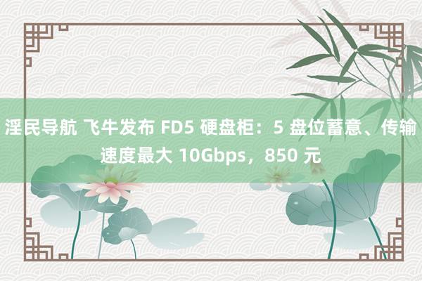 淫民导航 飞牛发布 FD5 硬盘柜：5 盘位蓄意、传输速度最大 10Gbps，850 元