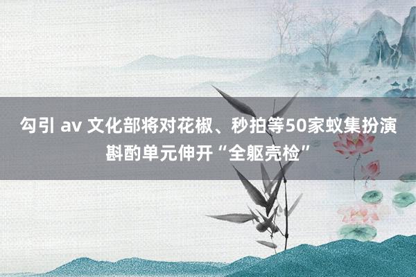 勾引 av 文化部将对花椒、秒拍等50家蚁集扮演斟酌单元伸开“全躯壳检”